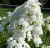 b73a238a6f750b5ad623619d9eedb792.png