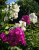 aa87379cf378aef4e4a7f701ed5529a2.png