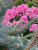 7ad697b5a00ff4fc18eedd00a7bca0c7.png