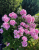 6b16b07ccc03926ddd282add01624808.png