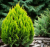 9c8b53470a5f7761dc45043518dfc8cd.png