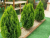 b8dd40e30a04e7bc671ab864f2303268.png