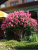 fb8a46c1d209123bc3500d5513faf48c.png