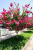 692f2c9f84fee4fc0bcacd44f45c159e.png