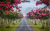 3d03195856c38f9afee15689b7e66b50.png