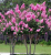 cb70489f1ee9acacdfa3f5f1847df9a8.png