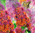 9ea5d0def45a929f580de0dd061d645a.png