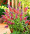 a1e17112b86abd70a51ae46c7930204c.png