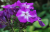 75095f757603d07934cb5d52daebdd7f.png