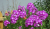 71441d0e9a252644709b1e0e0a4e529a.png