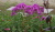 bdb402d290b74a80c0a58937bce29989.png