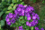 ceb74a58ba8f736386d6e6bc36a5df71.png