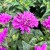 fbce00ad2a7fb341c9490525f9ad6270.jpg