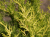 a30999f09ecf9ed878d3f08ae0f7864b.png