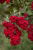 1ef0bcbcd146ffe52d12d4971a6e0b5a.png
