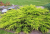 ee34caf176bea08c164f3d6f3cbd6cd2.png