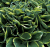 8eb688413b0966b488a8a54441ee014a.png