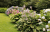 df100a17dcb501b56478065a697a2aeb.png