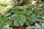 e10136faf8cb54097020758a1ec13a01.png