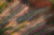 504e7d2d2507e58693ad3cd93f193744.png
