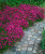 0dbdb17187b16fb8fc8b728114dbc26f.png