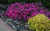 0ecbe0f35f21b965a146a99ff2e0be2c.png