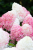 228231f82101456b74a4f5ebadde2169.png