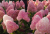 c07cde6dfac24d3df066f68f0fd50cce.png