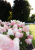 c9e7c30190ab78462db0e9d06b026591.png