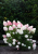 abd2d9482e8a77d34699daedacbcc316.png