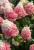 99ff325fc8a80763d92fd76a8feb92b1.jpg