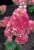 848f3406f85ae8bbb7a284b594d8cb1c.png