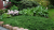 c38ba9dd3c76d3e9f319eb08b0584400.png