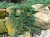 0269bc029e51e7d52104ffbcbc490679.png