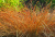 8f9d6bb9d25d5d2d8f9c7eecb0fc9d17.png