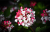 dc4f057da519c9dd4181a8669fa0643b.png
