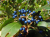 71a62d3026ad5a45f1c2b6e7f6b70d97.png