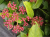19d087cb545adf560288e5c1c8080024.png