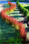 b3d5184b8bb62a1c832279a5c5f31221.png