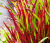 6d5dbf9c9067615b3c116a56e9c16126.png