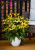 66b6500e268141cd24b3631de83128ad.png