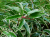 3ed5db49539baa571008b87142db271b.png