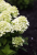 b4206fcfcddef216e67579a5edd26d35.png