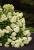 260b7e029f327a36f3c8a55071660796.png