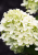 ee53c899bb63bb68bee43002b03dba6a.png