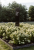 c07cb1c2c5430b8a6cf64f1c7db8863a.png