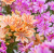 1aee5c27b50165f39eccb15309072edc.png