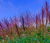 d19e81aada54fa58f6f1c73386e5f2a8.png