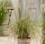 db1d8a2928b3f61388f7d630442b734c.png