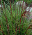 78ec2c48b0d9ac132f7532a64dbf8d44.png